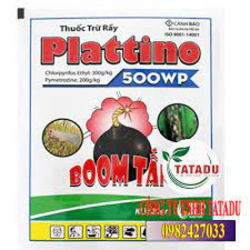 Plattino 500WP (Cty CP NN HP)