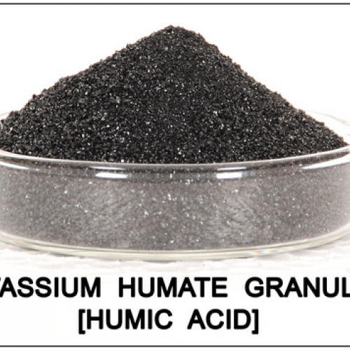 Axit Humic là gì? Humate là gì? Acid hữu cơ Humix