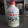 Victory 300EC (Cty CP BTV I TW)