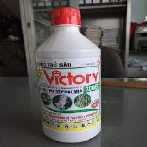Victory 300EC (Cty CP BTV I TW)
