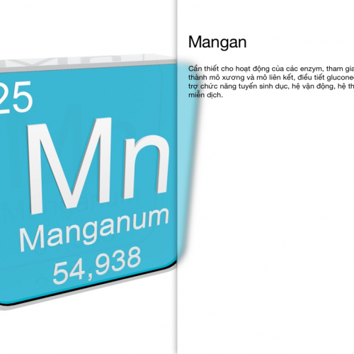 Mangan (Mn) – Manganese Vai trò của Mn đối với cây trồng